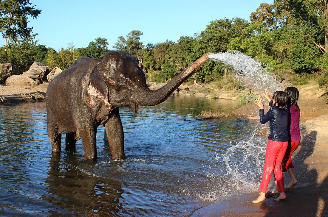 Bath with elephants at Camp Kipling