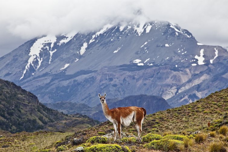patagonia national park